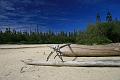 Oro-ile des pins (6)